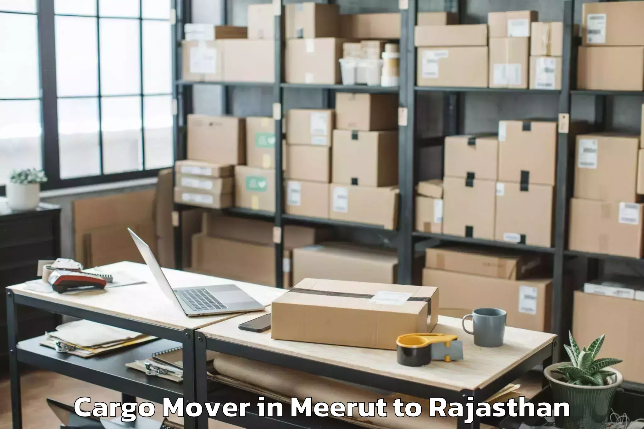 Hassle-Free Meerut to Indergarh Cargo Mover